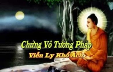 chung vo tuong phap vien ly kho ach