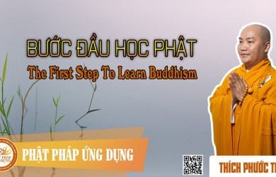 buoc dau hoc phat english sub