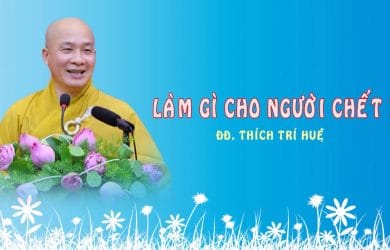 hinh dai dien thich tri hue 2016 lam gi cho nguoi chet