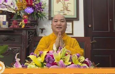 dao lam con trong thoi hien dai thich phuoc tien 2017