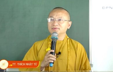 tu thanh de thay thich nhat tu 2018